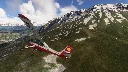 38 Bush strips in the Spanish Pyrenees