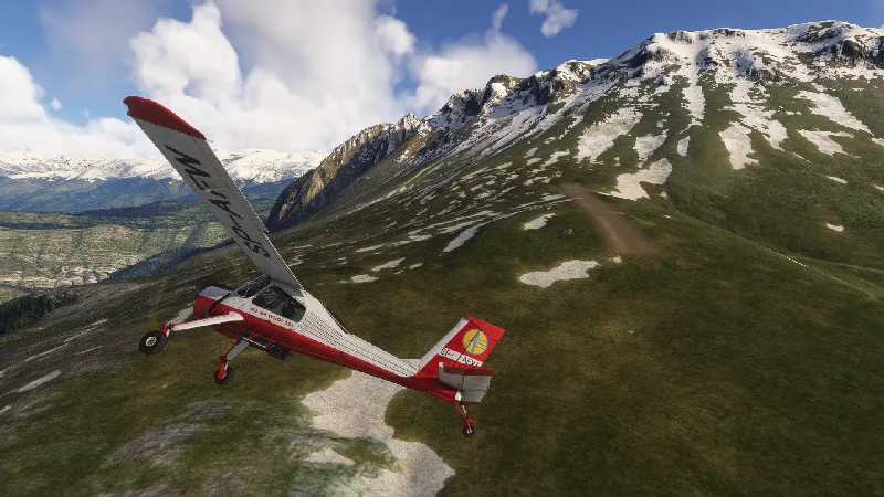 38 Bush strips in the Spanish Pyrenees
