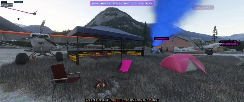 BushBot Multiplayer Bush Companion for Microsoft Flight Simulator 2024