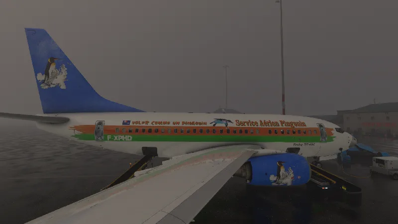 PMDG 737-600 Service Aérien Pingouin for Microsoft Flight Simulator 2020