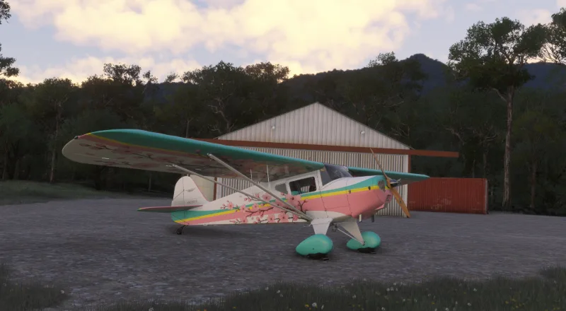 Taylorcraft BC-12D "BLOSSOM" for Microsoft Flight Simulator 2024