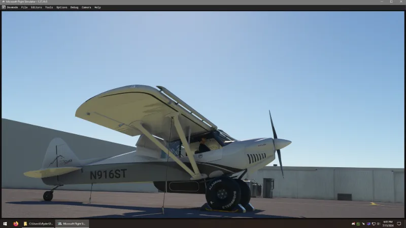 The 2020 XCub Extreme for Microsoft Flight Simulator 2020