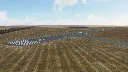 YMPA fantasy FBO for FSEconomy for Microsoft Flight Simulator 2020 picture 3